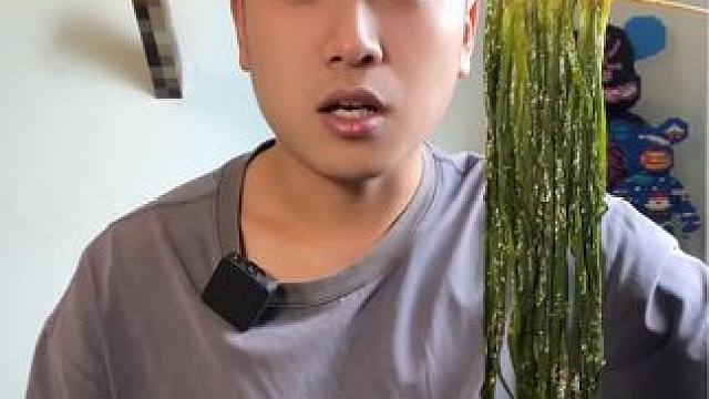 真油#烤玉米 #烤韭菜 #薯条