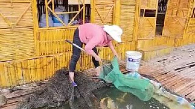 摆放捕鱼网#荒野建造 #我的乡村生活 #美女 #捕鱼