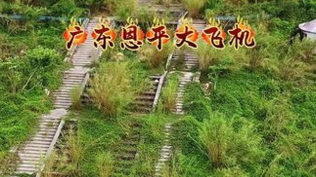在广东水库边发现一架废弃多年的飞机，不知是谁将飞机停靠在这里的，你知道它的故事吗？#旅行推荐官 #恩