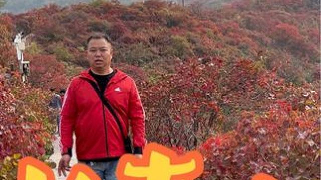 长寿山 #给秋天点颜色看看 #治愈系风景 #河南刚哥 #前奏一响拾起多少人的回忆 #家乡的柿子熟了