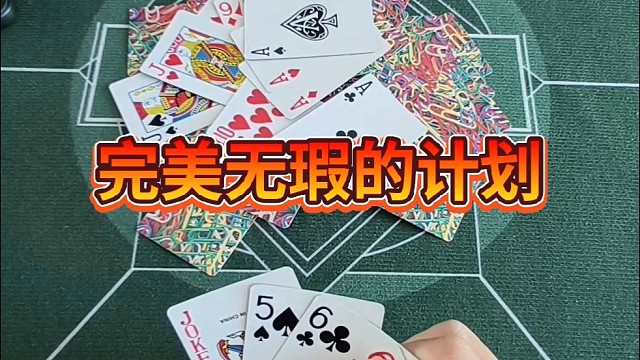 完美无瑕的计划。