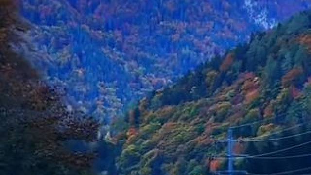 秋意 #风景都在路上 #大山深处自然美