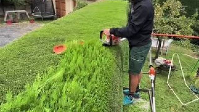 园林绿化大师。 #解压视频 #极度舒适 #除草视频解压 #强迫症看了很享受 #舒服又解压