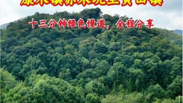 黄田镇位于广东省河源市东源县东南部，距东源县城35公里，地处东江河畔中上游，属亚热带季风气候，黄田镇