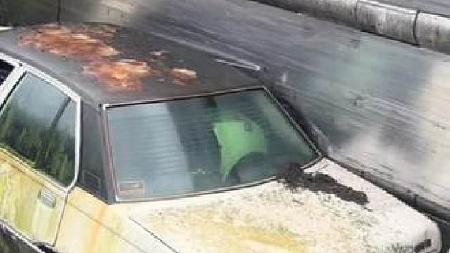 #一定要看到最后哦