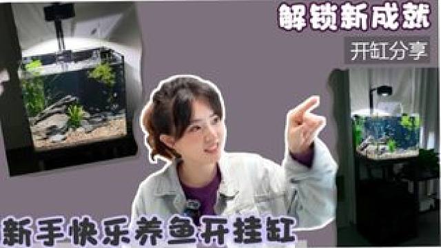 拥有超强过滤的新手毕业缸！分享一体式底滤鱼缸的开缸与饲养 AI描述：一年多养鱼经验的TuTu为新房购