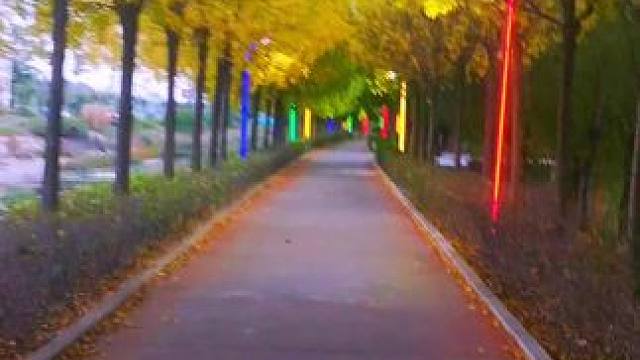 #是谁发现了秋天的美景