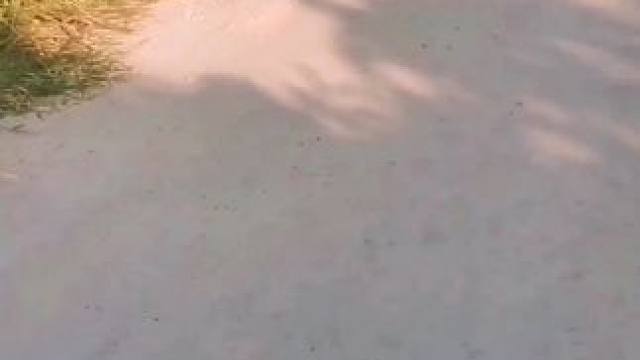 #山卡卡的农村人 #生活很累干活很苦 #穷人的生活 经验分享