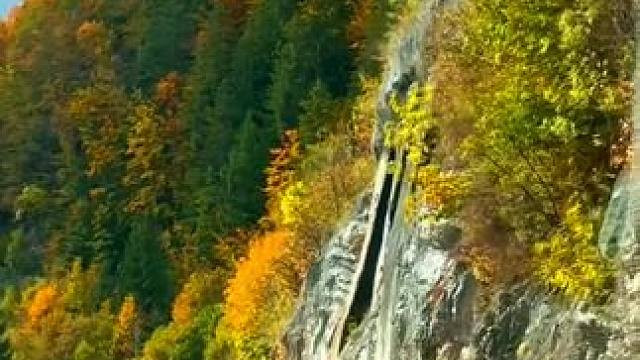 时间不经留，一晃又是一秋；日子不经过，眨眼又是一年…#秋