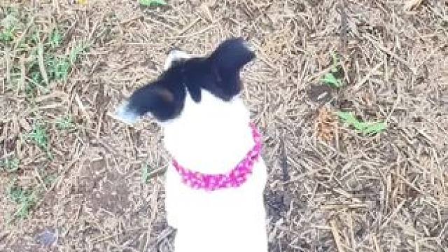 你有多久没见过故乡秋天的模样了？
乡村的清晨
薄雾，细雨，炊烟，还有勤劳的乡亲，一切那么宁静，祥和…