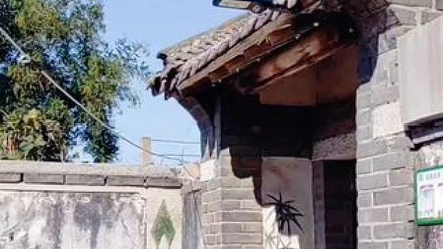 #农村生活 #平度市大泽山之行（10）响山潘家村，在两位平度老弟的带领下，我们走