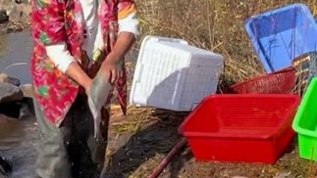 #户外捕鱼 #好多鱼