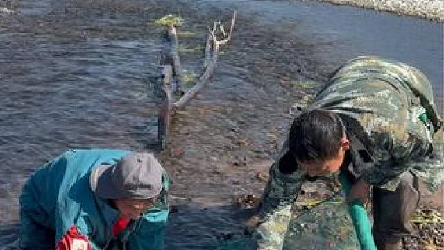 #户外捕鱼 #好多鱼