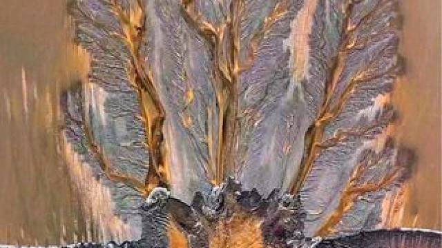 当潮水退去，滩涂上生长出蔚为壮观的“大地之树”，栩栩如生，宛若一幅天然水墨画卷， 天地有大美而不言！