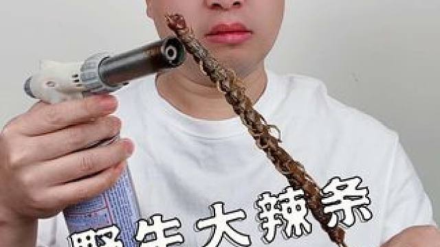 普通人挑战一天只吃野生大辣条 #这一口嘎嘎给力 #天冷了吃点啥 #嘎嘣脆 #不