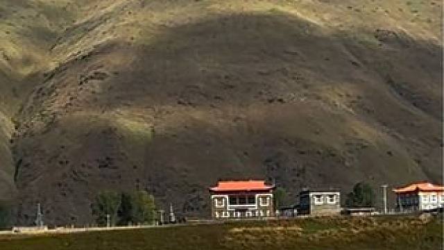 爱这世间，草木皆书。爱这岁月，素净如湖。愿这个秋天，我们都在色彩斑斓中走向丰收#把我的秋天拍给你看