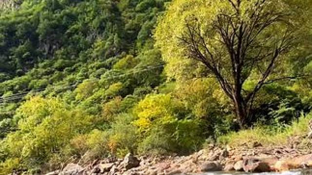 岁月不及念，又到一年秋，愿这个秋天，我们都在色彩斑斓中走向丰收。被大自然治愈#把我的秋天拍给你看 #