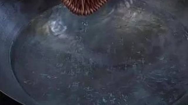 水煮鱿鱼 #泰国主播吃美食视频 #原始美味 #我的乡村生活 #农村生活 #农村美食