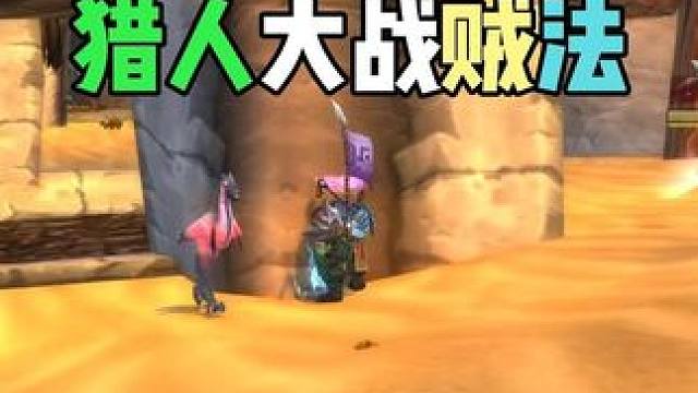 猎人大战贼法 巫妖王之怒 竞技场解说 #魔兽世界 