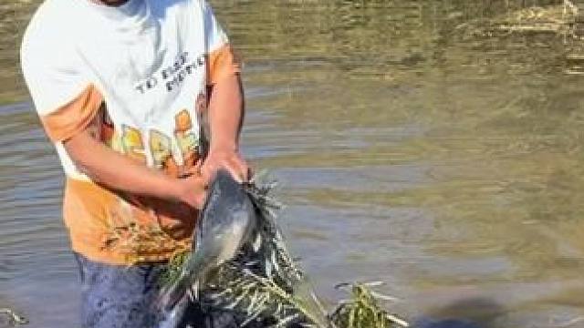 #户外捕鱼 #好大一条鱼