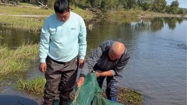 #户外捕鱼 #好多鱼