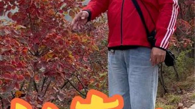 长寿山 #给秋天点颜色看看 #把秋日落叶拍出氛围感 #每一帧都是热爱 #河南刚哥#前奏一响拾起多少人