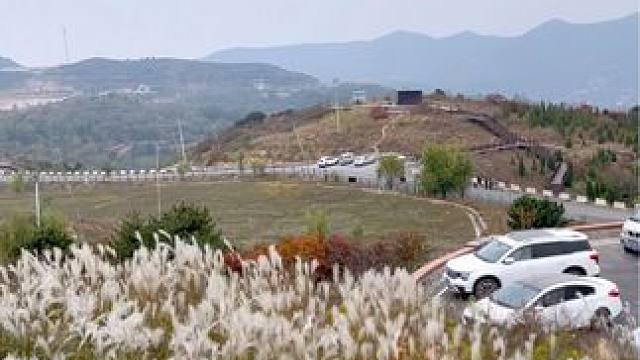 嵩顶草甸 #治愈系风景 #河南刚哥#每一帧都是热爱 #到深蓝的天空下感受秋日 #前奏一响拾起多少人的