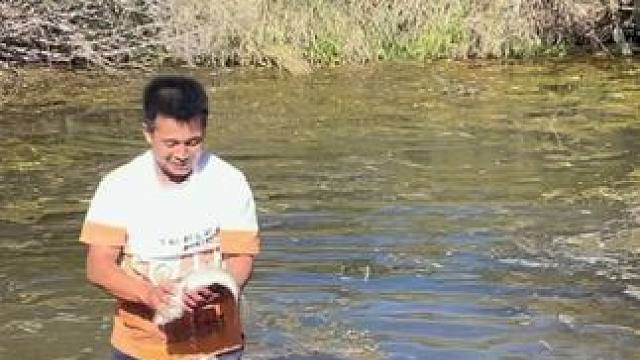 #户外捕鱼 #抓鱼大哥抓大鱼