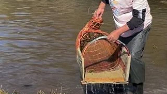 #户外捕鱼 #好多鱼