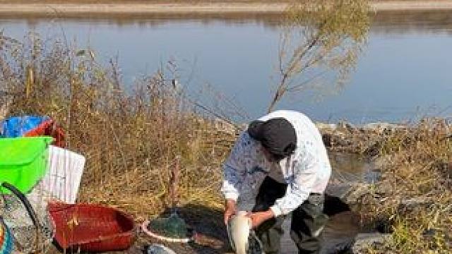 #户外捕鱼 #好多鱼