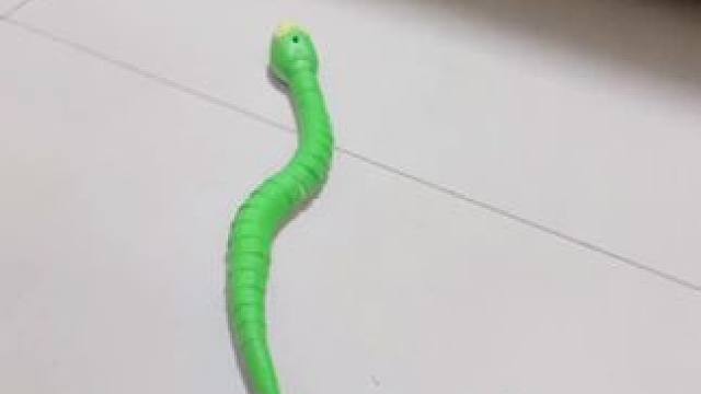 我发布了一个新视频，快来围观吧！