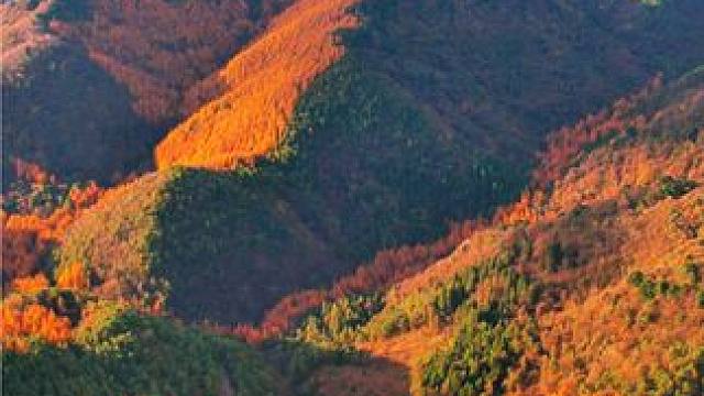 金秋十月的曾家山今年你还来赏秋吗？#给秋天点颜色看看 #到深蓝的天空下感受秋日 #原创视频 #一帧中