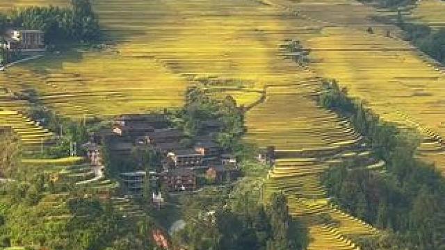 小时候向往城市的繁华，觉得农村生活无趣。长大后以后才明白，有田有地，有家人陪伴，心安便是归处。
#龙