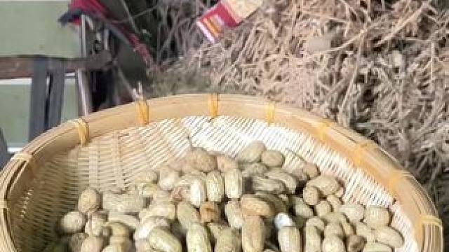 说我翻精里很 吃不完捣我肚里……#田间地头  #乡愁记忆 #儿时的味道 #农村生活