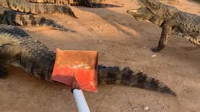 累了困了就远动起来吧#危险动作请勿模仿