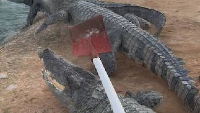 家人们起床锻炼身体了#危险动作请勿模仿