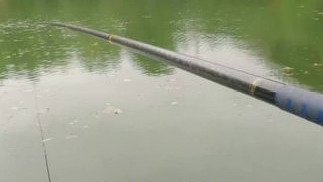 在这钓鱼钓到一半竟然有人来追赶，说这里不能钓鱼。#真实户外