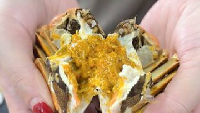 这个季节正是吃螃蟹的好时候，蟹黄肥美，看见就口水直流