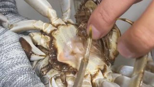 到吃大闸蟹的时候了！怎么挑选很关键，现在你们学会了吗？