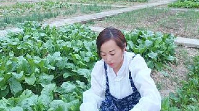 静逸的山居生活 远离喧嚣，让自己静下来，才能感知幸福，慢下来，才能走的更稳#田园生活 #民宿院子  