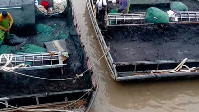 霞浦紫菜上市啦