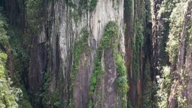 这里不是张家界，也不是大黄山，这里是湖南莽山的绝壁大峡谷！#航拍莽山 #一座不用爬的山 #莽山五指峰