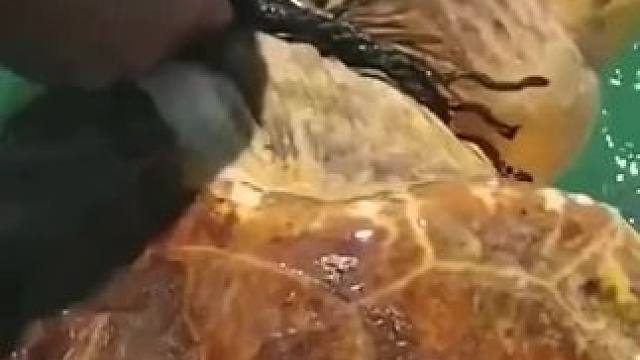 #一定要看到最后哦