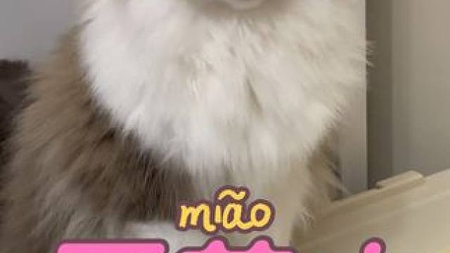 像极作业写着写着忍不住要瞎捣鼓，然后被家长发现后一本正经开溜的状态#做作业的那些事 #谁能拒绝傻憨憨