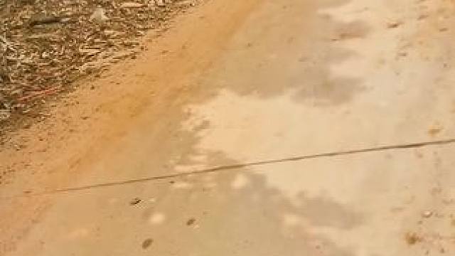 #山卡卡的农村人 #农村人的生活 找临时工