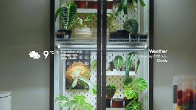 冬季来临前，我们悄悄留下了一柜子春天.