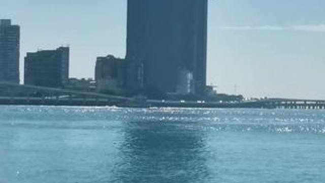 厦门鼓浪屿皓月园风景美丽！#厦门风景 #厦门鼓浪屿 #手机摄影 。