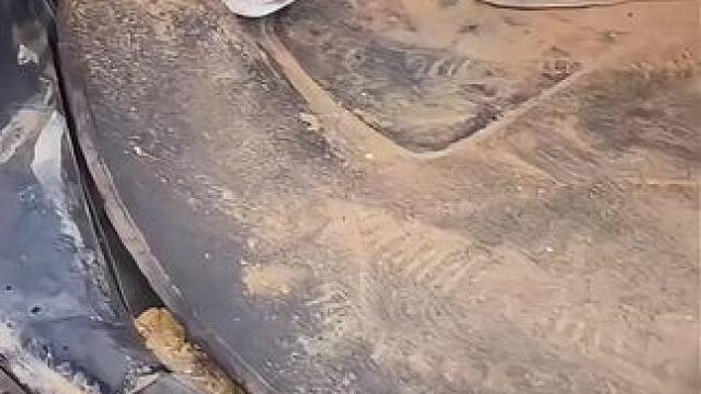 原声体验洗车过程 过程解压#国外视频分享 #解压 #洗车