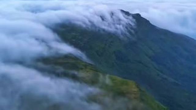 山间最美的云海.#云雾缭绕人间仙境 #旅行推荐官