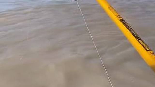 #钓鱼的乐趣只有钓鱼人懂 #巨物